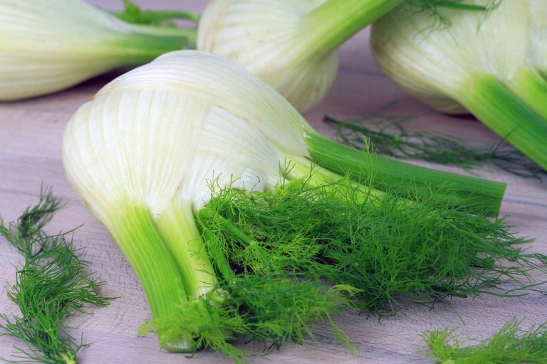 What Are the Benefits and Uses of Fennel? - The Herb Cottage