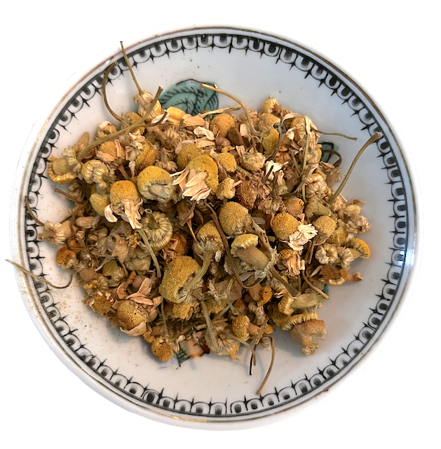 Dish of dried chamomile flowers
